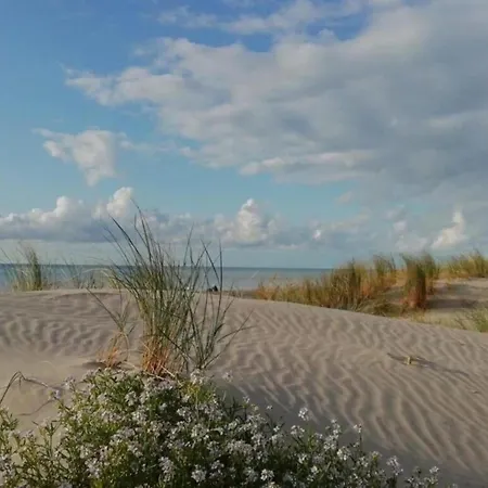 Chic In Quend-plage-les-pins With Barbecue, Cleaning Included Chalet